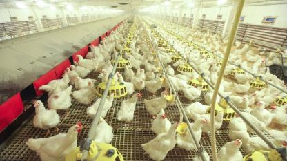 Attēls rakstam: "Ķekava Foods" apgrozījums pagājušajā finanšu gadā pieaudzis par 12%