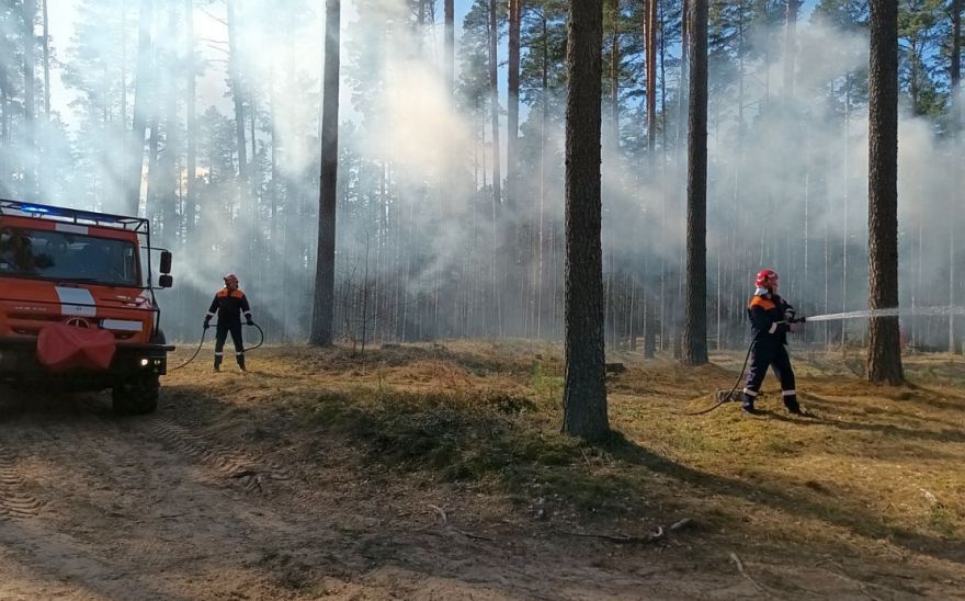 Ķekavas novadā dedzis mežs, Saulkrastos – šķūnis, Siguldā – automašīna