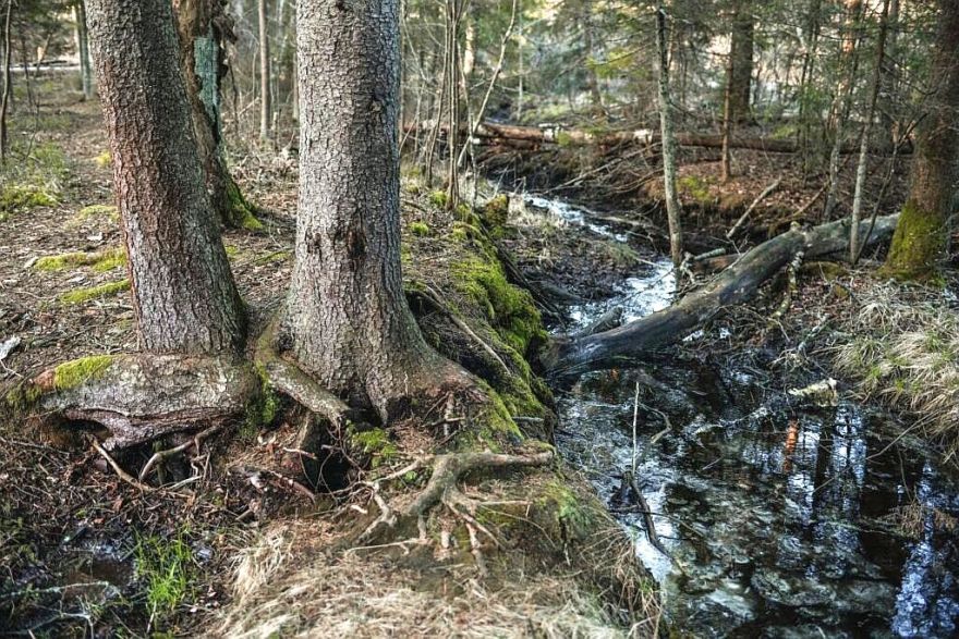 Ķekavas novadā trīs avotos ūdens kvalitāte atbilst normām