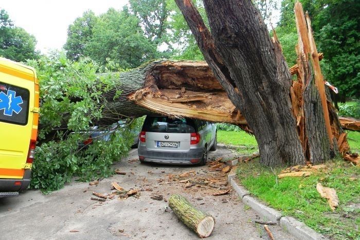 Ķekavas novadā vēja lauzti koki uzkrituši automašīnai ar cilvēkiem tajā (precizēta)