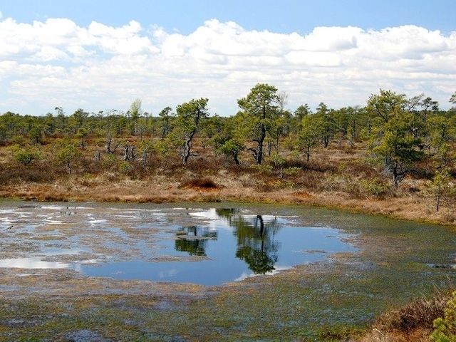 Ķemeru nacionālajā parkā top vairāki jauni infrastruktūras objekti
