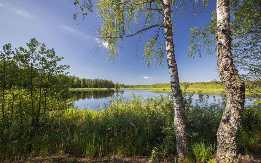 Klāt piektdiena! Kādus laika apstākļus šodien sola sinoptiķi?