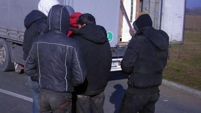 Attēls rakstam: Ko darīt ar nelegālajiem imigrantiem? Kā domā iedzīvotāji?