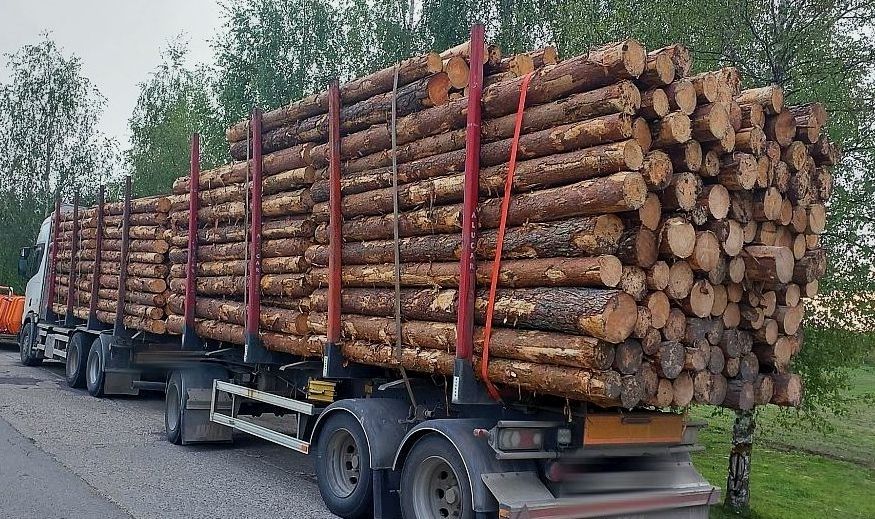 Komisija: Valdības atbalstu saņēmušo kokrūpnieku finanšu stāvoklis nebija nestabils