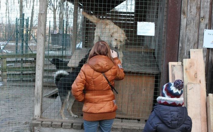 Konstatēti pārkāpumi dzīvnieku patversmē "Ulubele"