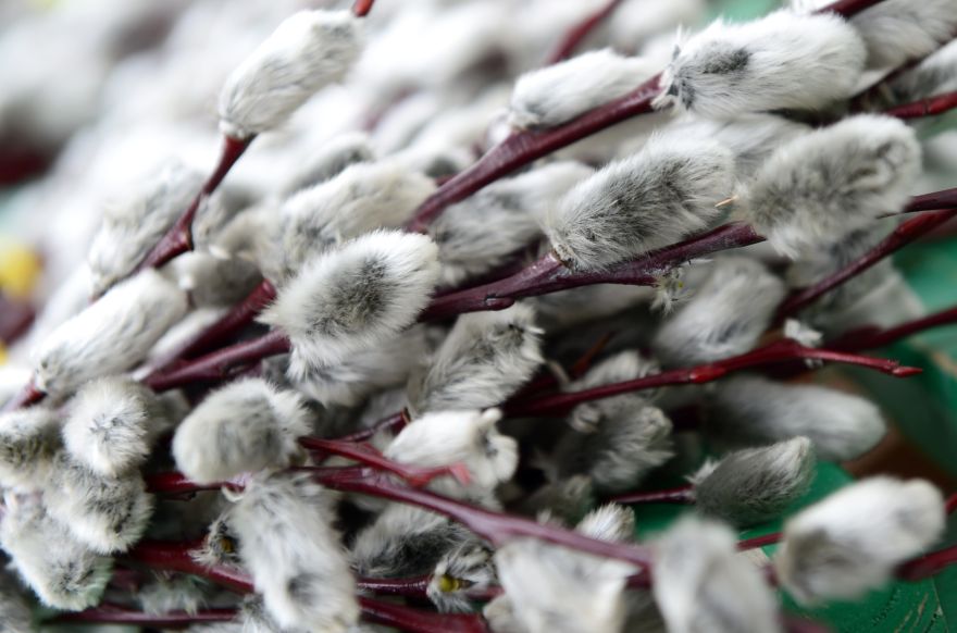 Kristīgajā pasaulē atzīmē Lielo piektdienu