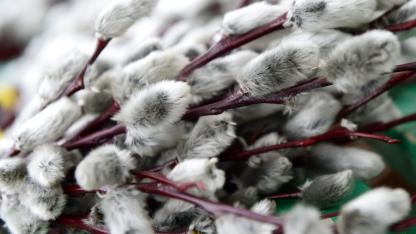 Attēls rakstam: Kristīgajā pasaulē atzīmē Lielo piektdienu