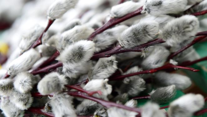 Attēls rakstam: Kristīgajā pasaulē atzīmē Lielo piektdienu