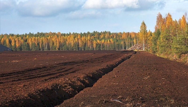 Kūdras fabrikas "Baloži" apgrozījums pagājušajā finanšu gadā saruka par 43,7%