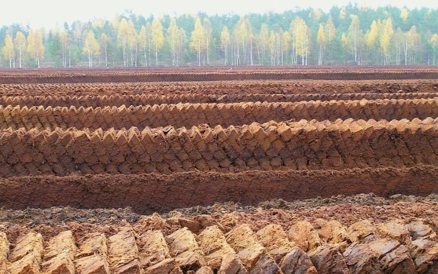 Kūdras ieguve Latvijā – izaicinājumi un perspektīvas