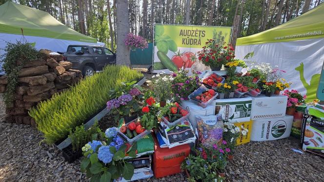 Attēls rakstam: Kūdras nozare cer atgūt iepriekšējos gados zaudēto