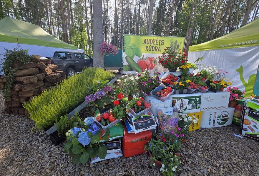 Kūdras nozare cer atgūt iepriekšējos gados zaudēto