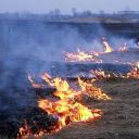 Attēls rakstam: Kūlas ugunsgrēkā Salaspils novadā degušas divas vieglās automašīnas