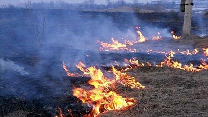 Attēls rakstam: Kūlas ugunsgrēkā Salaspils novadā degušas divas vieglās automašīnas