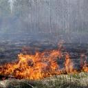 Attēls rakstam: Kūlas ugunsgrēki turpinās; sausā zāle degusi arī Siguldas novadā