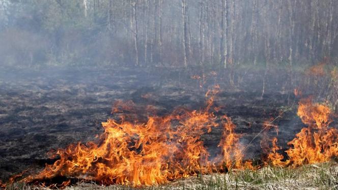 Attēls rakstam: Kūlas ugunsgrēki turpinās; sausā zāle degusi arī Siguldas novadā