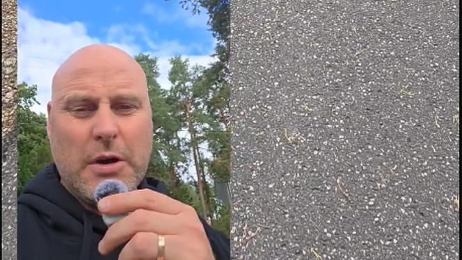 Attēls rakstam: Kulbergs: Suņi, kas sakož uz ielas bērnus, ir jālikvidē, ja saimnieki nav spējīgi parūpēties par to drošu uzraudzību