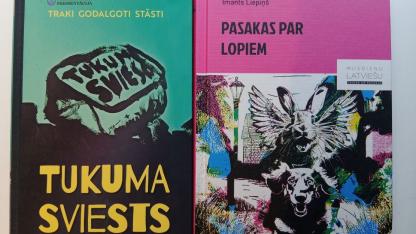 Attēls rakstam: Lasāmgabals. Tas pats Vanadziņš
