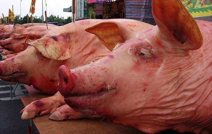 Latvijā cūkgaļas vidējā cena gada laikā pieaugusi par 61,3%
