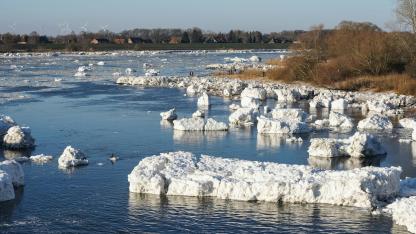 Attēls rakstam: Latvijā noslēdzas palu sezona. Kādi ir secinājumi?