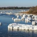 Attēls rakstam: Latvijā noslēdzas palu sezona. Kādi ir secinājumi?