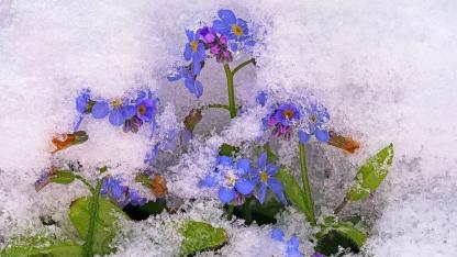 Attēls rakstam: Latvijā sācies meteoroloģiskais pavasaris