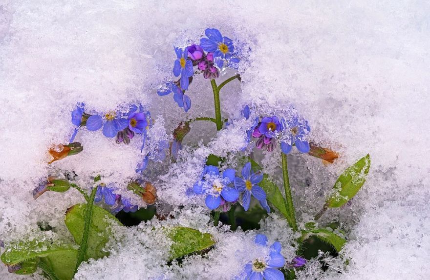 Latvijā sācies meteoroloģiskais pavasaris