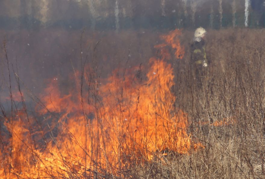 Latvijā turpina uzdarboties kūlas dedzinātāji - nopietns ugunsgrēks Tukuma pusē