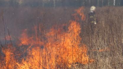 Attēls rakstam: Latvijā turpina uzdarboties kūlas dedzinātāji - nopietns ugunsgrēks Tukuma pusē