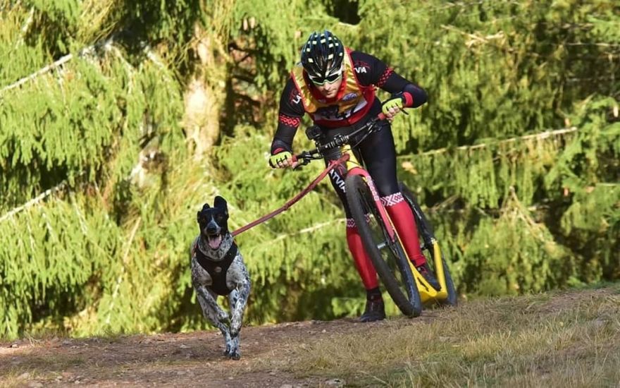 Latvijai sudrabs pasaules čempionātā kamanu suņu sportā