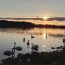 Attēls rakstam: Laukā bez lietussargiem. Nedēļas sākumā gaidāms mierīgs un sauss laiks