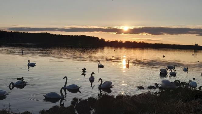 Attēls rakstam: Laukā bez lietussargiem. Nedēļas sākumā gaidāms mierīgs un sauss laiks