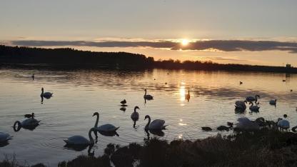 Attēls rakstam: Laukā bez lietussargiem. Nedēļas sākumā gaidāms mierīgs un sauss laiks