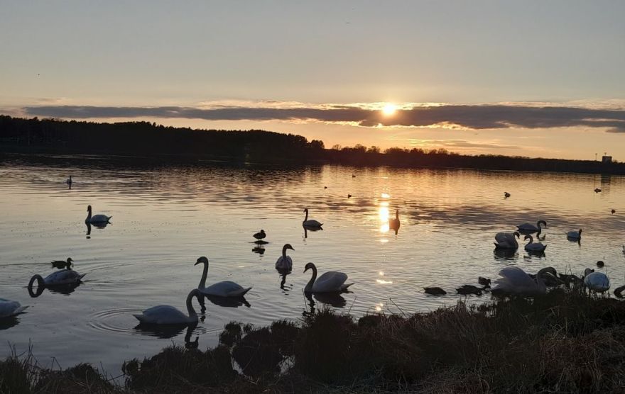 Laukā bez lietussargiem. Nedēļas sākumā gaidāms mierīgs un sauss laiks