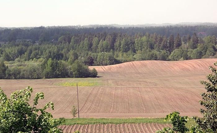 Lauksaimnieki: Graudaugu sējumi līdz šim Latvijā attīstījušies labi; arī salnas lielu skādi nav nodarījušas