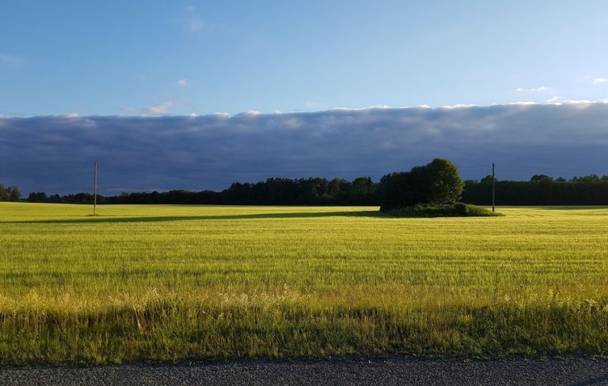 Lauksaimnieki sasparojušies pret netaisnību