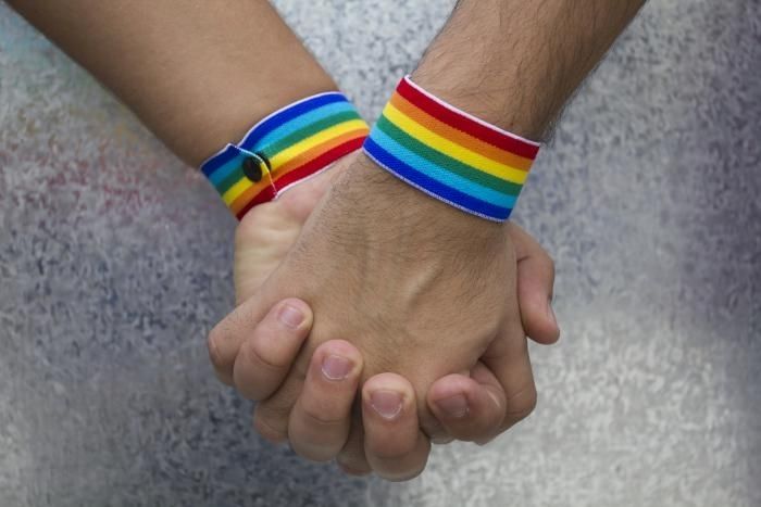 LGBT ideoloģijas "Trojas zirgs" pie Latvijas vārtiem 