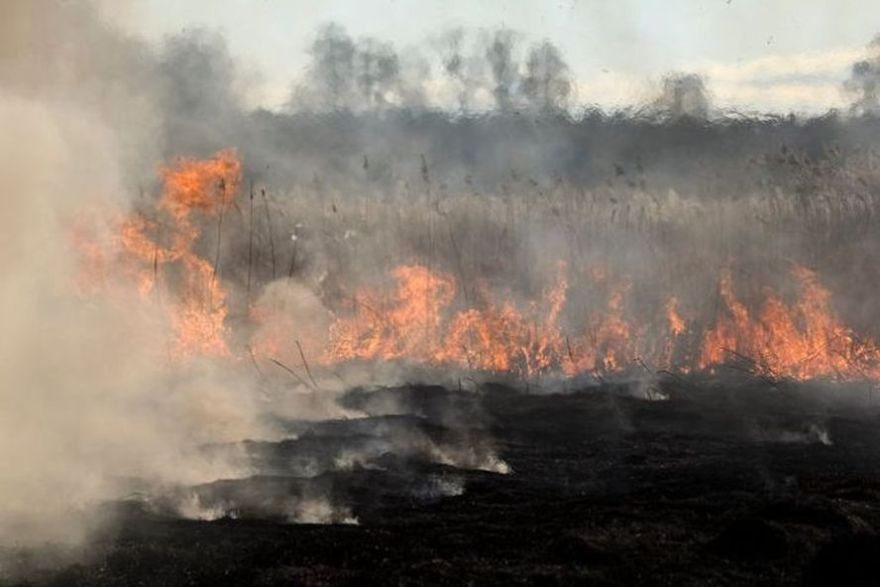 Lielākais kūlas ugunsgrēks ceturtdien dzēsts Salaspils novadā