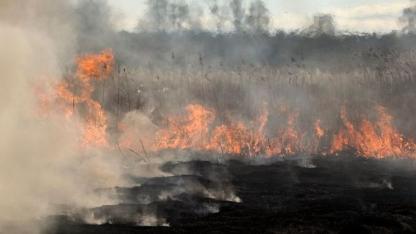 Attēls rakstam: Lielākais kūlas ugunsgrēks ceturtdien dzēsts Salaspils novadā