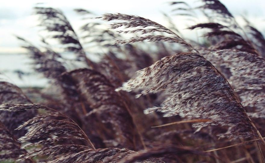 Lieldienās iespējams brāzmains vējš un nokrišņi