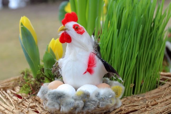 Lieldienu lustes Lēdurgas dendroparkā