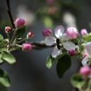 Attēls rakstam: Lieliskas ziņas: tuvākajās dienās laiks kļūs arvien siltāks