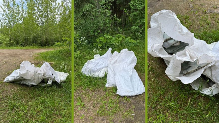 "Liels, riktīgs fuj!” Vangažnieki saniknoti par to, kas izgāzts mežā pie ezera