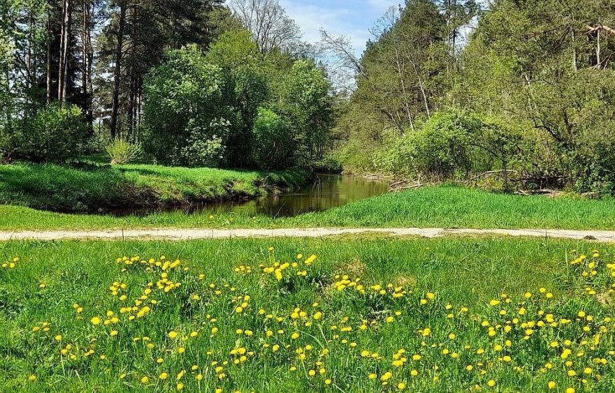 Lietaina un silta. Meteorologi prognozē laikapstākļus darba nedēļas sākumam