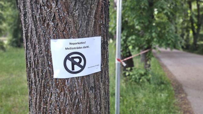 Attēls rakstam: “Lūdzu, dariet kaut ko, lai Babītes liepas paliktu dzīvas!” Iedzīvotājs ceļ trauksmi par projektu pie Babītes stacijas