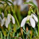 Attēls rakstam: Marta pirmo pusi prognozē sausu