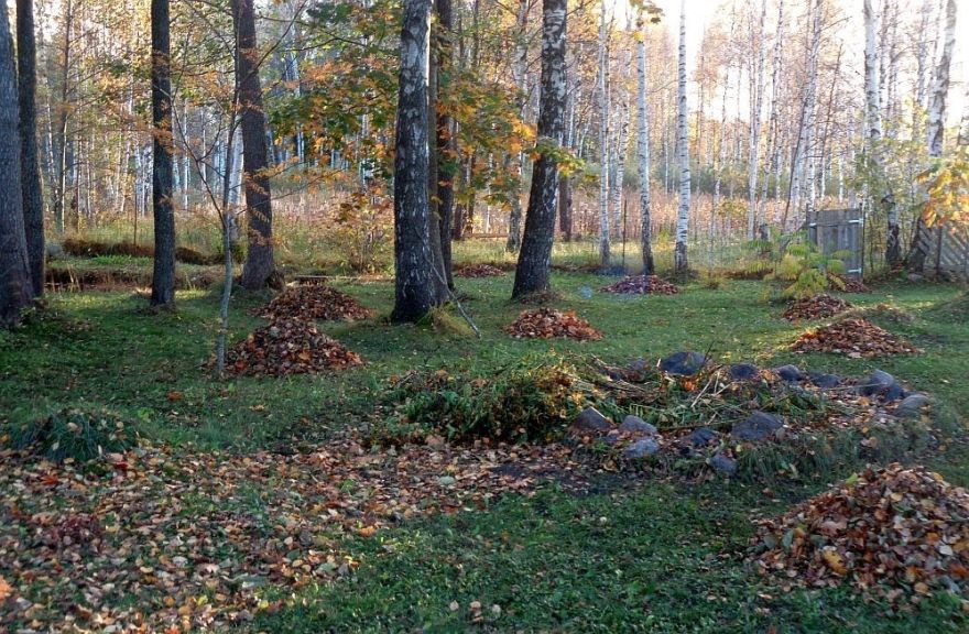 Mārupē oktobrī un novembrī varēs nodot dārzu bioloģiskos atkritumus