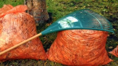 Attēls rakstam: Mārupieši no aprīļa var nodot dārza atkritumus