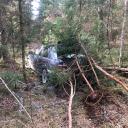 Attēls rakstam: Mednieks Aivars Ropažu novada mežā atradis nomaskētu Siguldā nozagto BMW