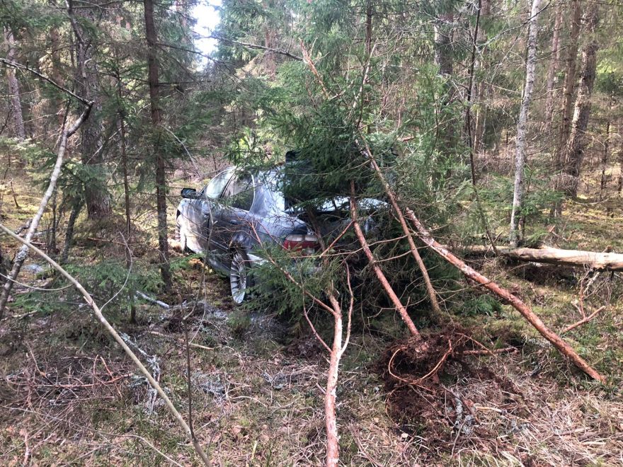 Mednieks Aivars Ropažu novada mežā atradis nomaskētu Siguldā nozagto BMW
